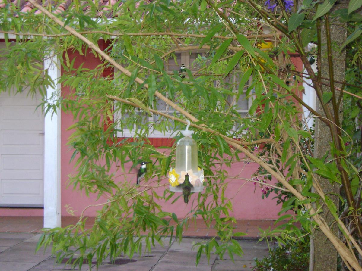 Pousada Beija Flor Gramado Exteriér fotografie