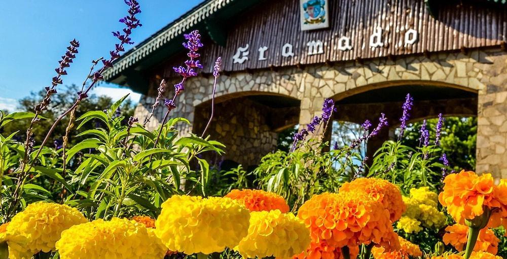 Pousada Beija Flor Gramado Exteriér fotografie